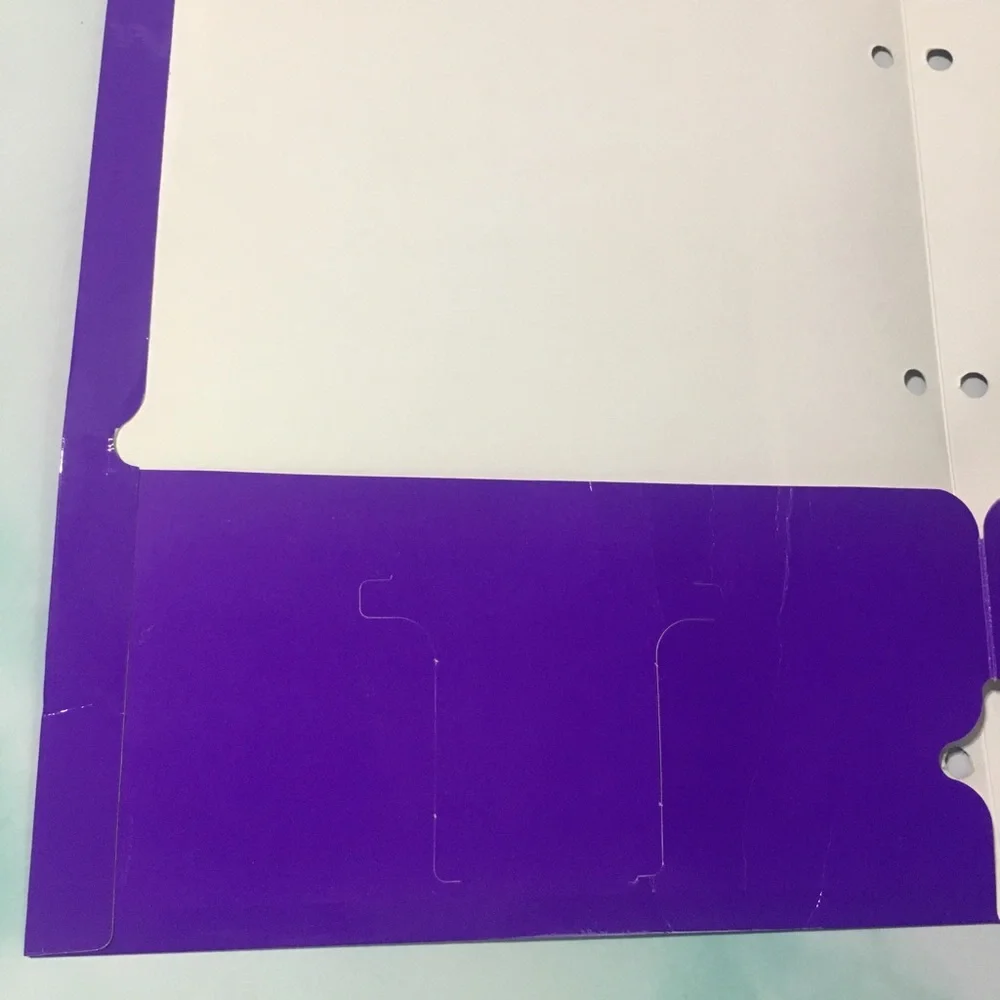 SAILOR MOON Stickers On Purple Folder